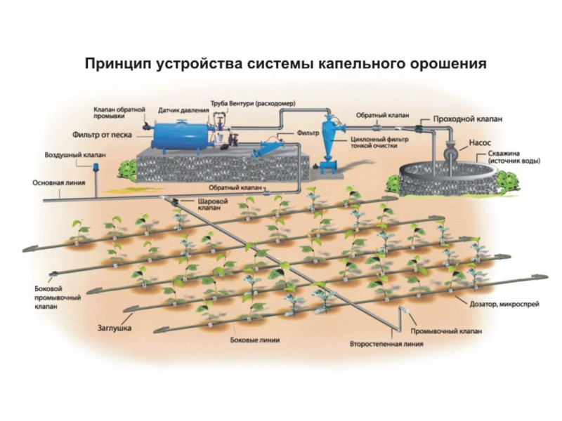 Схема установки системы капельного полива